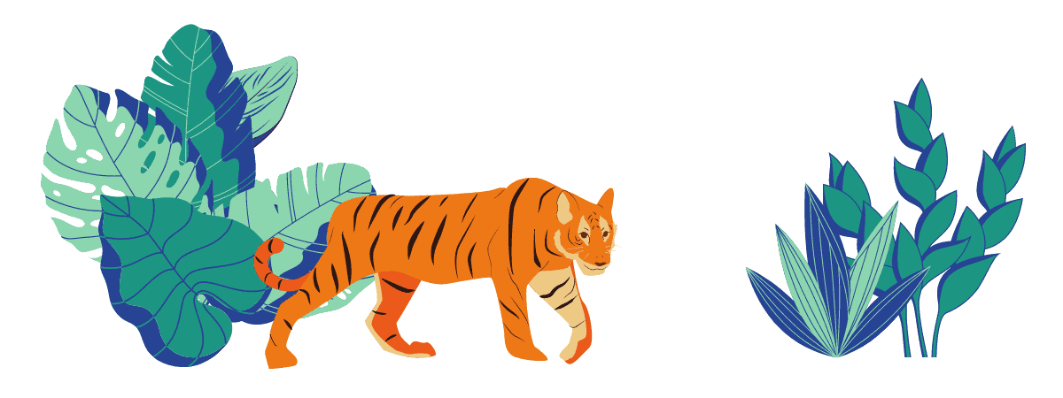 jungle-tigre
